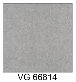 Gạch VG66814